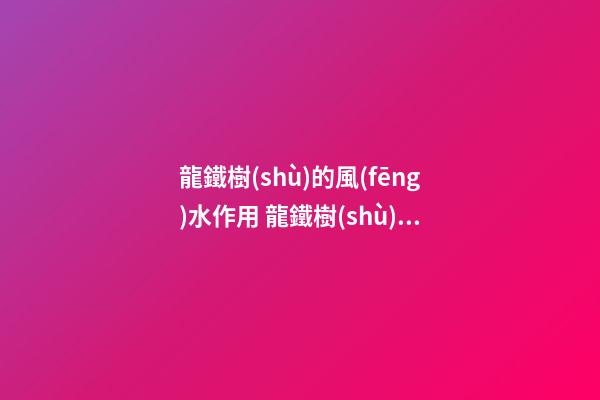 龍鐵樹(shù)的風(fēng)水作用 龍鐵樹(shù)的風(fēng)水禁忌